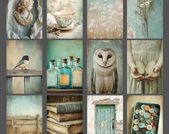 Vintage Curiosities Notecard Set of 12 Cottage Botanical Nature Stationery Antique Style Blank Note Cards