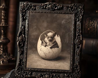 Vintage Victorian Baby Bat Egg Art Print Gothic Dark Fantasy Hatchling Portrait Antique Style