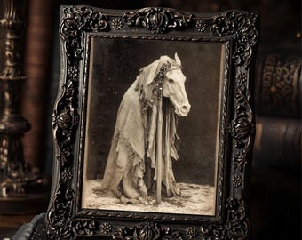 Mari Lwyd Welsh Folklore Horse Skull Gothic Wall Print Pagan Winter Ritual Antique Cabinet Card Style