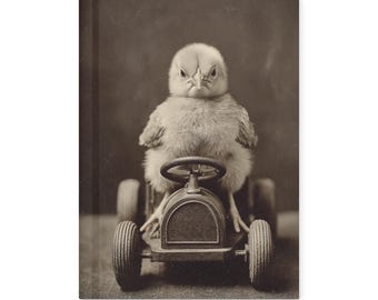 Chick Race Car Notebook Angry Baby Chicken Funny Antique Journal