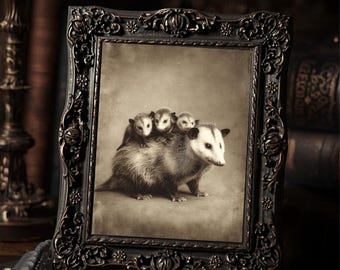 Vintage Victorian Opossum Mother Babies Print Gothic Animal Wall Art Antique Style Photography