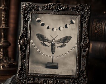 Vintage Victorian Death Moth Art Print Gothic Lunar Occult Wall Art Antique Style Photography