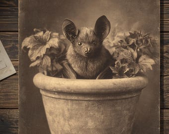 Victorian Bat In Flower Pot Greeting Card Antique Style Sepia Gothic Bat Card