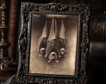 Vintage Victorian Bat Trio Print Gothic Animal Wall Art Antique Style Photography Dark Whimsical Decor