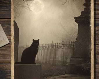 Vintage Victorian Black Cat In Cemetery Full Moon Halloween Card Gothic Witchy Spooky Antique Style Photography Blank Inside