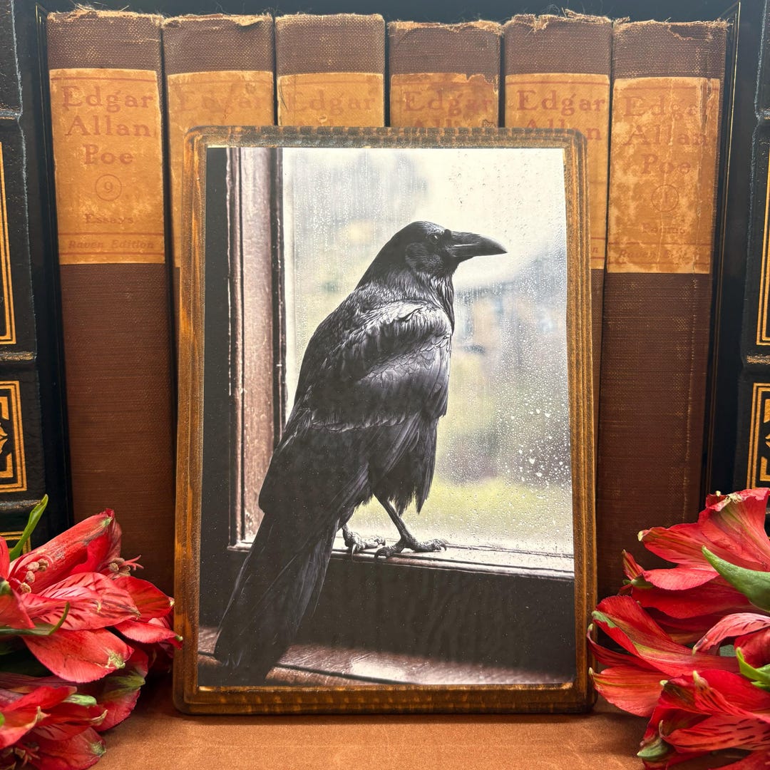 Raven Behind Window Raven Rainy Window Wood Plaque Gothic Bird Wall Decor Dark Academia Art ...