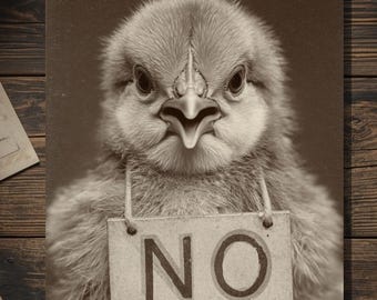 Vintage Victorian Chick No Card Gothic Dark Humor Antique Style Photography Blank Inside