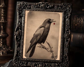 Gothic Raven With Heart Dark Valentine Antique Style Crow Art Print  Macabre Romantic Wall Art