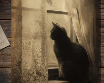 Vintage Victorian Black Cat In Lace Window Halloween Card Gothic Witchy Spooky Antique Style Photography Blank Inside