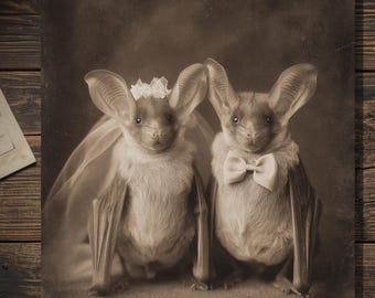 Vintage Victorian Bat Bride and Groom Card Gothic Wedding Humor Antique Style Photography Blank Inside