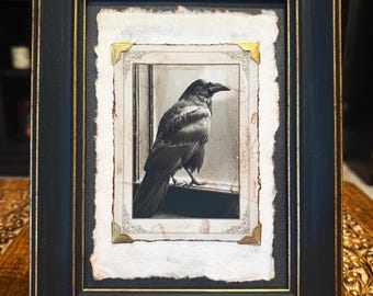 Victorian Raven in Rain Framed Art Gothic Crow Portrait Dark Academia Wall Decor