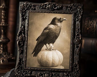 Crow On Pumpkin Wall Art Print  Gothic Halloween Crow Photograph Vintage Sepia Spooky Bird Decor