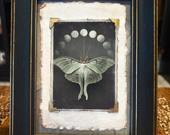 Gothic Lunar Moth Framed Art Victorian Moon Phase Wall Decor Dark Naturalist Artwork