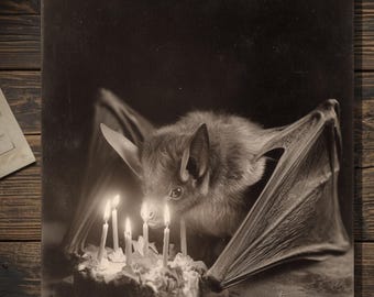 Vintage Victorian Bat Blowing Out Candles Birthday Card Gothic Antique Style Photo Blank Inside