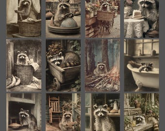 Raccoon Blank Notecard Set of 12 Vintage Victorian Greeting Cards Funny Gothic Animal Stationery