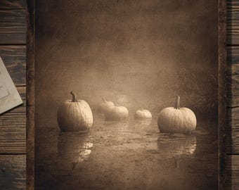 Haunted Pumpkin Marsh Gothic Halloween Greeting Card Vintage Style Spooky Sepia Photograph Creepy Autumn Stationery Blank Inside