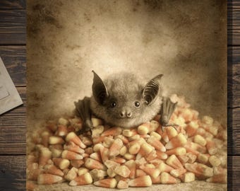 Vintage Victorian Bat Candy Corn Pile Halloween Card Gothic Antique Style Photography Blank Inside