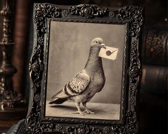 Victorian Pigeon Delivering Love Letter Gothic Animal Art Print Romantic Whimsical Wall Art