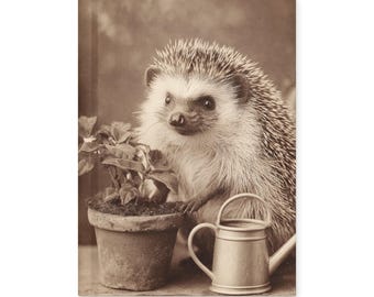 Vintage Victorian Gothic Hedgehog Garden Notebook