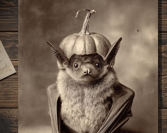 Vintage Victorian Bat Pumpkin Hat Halloween Card Gothic Antique Style Photography Blank Inside