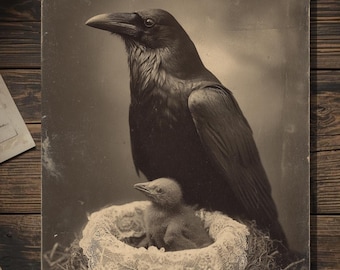 Vintage Victorian Raven and Chick Mothers Day Card Gothic Bird Nest Antique Style Photography Blank Inside