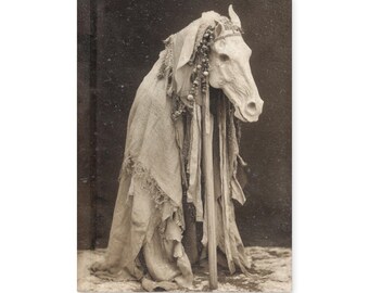 Mari Lwyd Gothic Journal Welsh Folklore Horse Yule Notebook