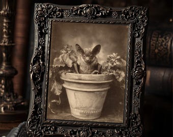 Victorian Bat In Flower Pot Art Print Antique Style Sepia Bat Portrait Gothic Print