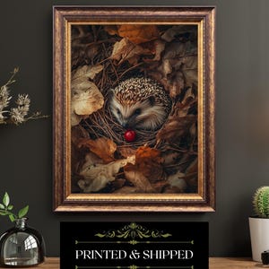 Autumn Hedgehog In Nest With Red Berry Rustic Woodland Animal Nature Print