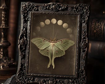 Vintage Victorian Lunar Moth Art Print Gothic Moon Phase Occult Wall Art Antique Style Photography