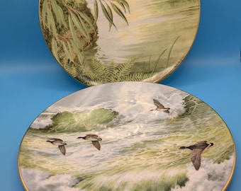 Royal Doulton Waterside Teller Set • Eisvogel & Kanadische Gänse • 1980er Jahre Keramik • Kunst der wild lebenden Tiere • Vintage Schauteller • Sammlergeschenk