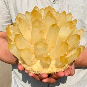 Pode incluir: Um grande aglomerado esférico de cristais de quartzo amarelo-dourado translúcido. O espécime apresenta numerosas pontas de cristal prismáticas e afiadas que irradiam para fora a partir de uma base mineral central texturizada de cor amarelo-pálido, criando uma formação densa.
