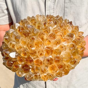 May include: A large, spherical cluster of golden-yellow citrine crystals. The specimen features numerous translucent, pointed crystal points radiating outward from a central core, displaying varying shades of amber and honey-colored quartz.