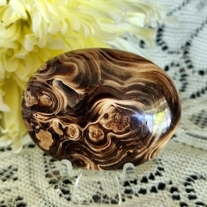 May include: A polished oval-shaped stone featuring swirling patterns of dark brown, cream, and tan colours. The stone has a smooth, glossy surface with visible concentric rings and organic textures, displayed on a small clear plastic stand.