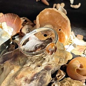 Peut inclure: Une bague en métal argenté ornée d'une pierre ovale lisse de couleur marron et beige, fixée sur un côté de l'anneau. La bague est placée parmi divers coquillages marron clair et beige de formes et de tailles variées sur une surface sombre.