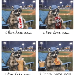 May include: A four-panel image showing a raccoon in sunglasses and a denim cap, seated in a blue folding chair at a baseball field. The raccoon is depicted drinking Diet Coke, Dr. Pepper, iced coffee, and eating pizza. The text "i live here now" is below each image.