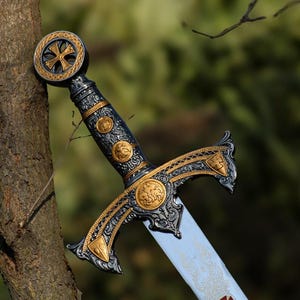 May include: An ornate sword with a silver blade and a detailed hilt. The hilt is black and gold, featuring intricate designs and circular emblems. The crossguard and pommel also have gold accents. The sword is leaning against a tree.