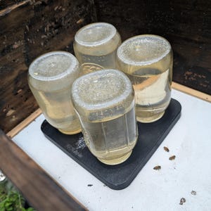 Può includere: Quattro barattoli di vetro trasparente riempiti con un liquido chiaro sono posizionati capovolti su una base quadrata nera con un logo a forma di ape. La base si trova all'interno di una cornice di legno e diverse piccole api sono visibili.