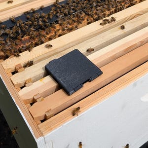 Può includere: Primo piano di un'arnia in legno con numerose api che si muovono sui telai di legno. Un coperchio nero rettangolare è posizionato sul telaio. I lati dell'arnia sono dipinti di bianco. Il testo "M2/15" è scritto sul telaio di legno.