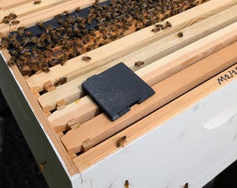 Folding Beetle Trap | 3 Pack | Semi-Transparent Available!