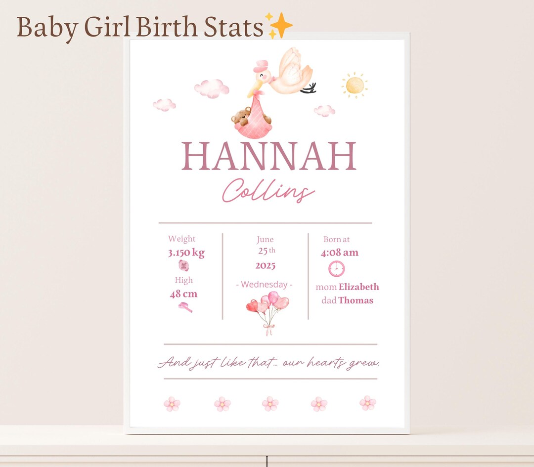 Personalized Baby Girl Birth Poster , Custom Baby Stats Print, Baby ...