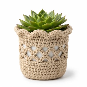 Op de afbeelding: Een groene vetplant in een witte keramische pot, omhuld door een beige gehaakte mand. De gehaakte mand heeft een ruitpatroon en een geschulpte rand. De plant heeft meerdere groene bladeren.