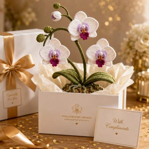 Könnte beinhalten: Gehäkelte Phalaenopsis-Orchidee in einer weißen Geschenkbox. Die Orchidee hat weiße Blütenblätter mit violetten und kastanienbraunen Zentren, grüne Blätter und einen grünen Stiel. Die Box enthält eine Karte mit der Aufschrift "With Compliments".