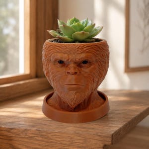 May include: A brown planter shaped like a primate head with detailed facial features and fur texture. A green succulent plant is potted inside the top opening. The planter sits on a matching circular brown base tray, creating a cohesive unit.