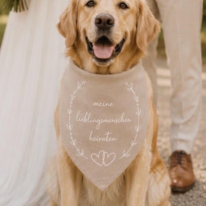 Könnte beinhalten: Ein Golden Retriever trägt ein beiges, dreieckiges Hundehalstuch mit einem weißen, gestickten Lorbeerkranz-Motiv, zwei Herzen und dem deutschen Text "meine lieblingsmenschen heiraten", der in Schreibschrift auf dem Stoff gedruckt ist.