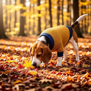 May include: A Beagle dog wearing a yellow sweater with blue trim, sniffing fallen autumn leaves. The dog has brown and white markings and is in a forest setting with golden sunlight filtering through the trees.