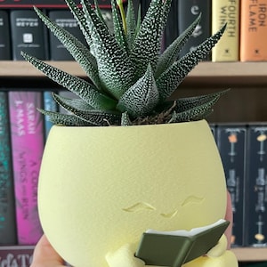 3D Printed Reading Planter | Bookworm Succulent Pot, Bookish Desk Decor