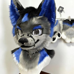 May include: A furry wolf head with blue, black, and grey fur, a spiked muzzle, and a decorative collar. Matching paw gloves are visible in the background. The head is mounted on a white form.