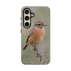 May include: A phone case featuring a detailed image of a small bird perched on a twig. The bird has brown and orange plumage, with a light-colored chest. The background is a soft green, creating a natural aesthetic.