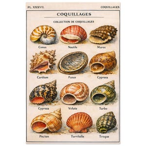 May include: A set of three ceramic mugs with a speckled, cream-coloured glaze. Each mug features a different hand-painted design: a blue and green leaf, a yellow flower, and a red berry. The mugs have a simple, modern design.