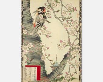 Poster Ukiyo-e giapponese con fiori di ciliegio e picchio – Arte murale naturalistica vintage, decorazione zen, stampa giapponese